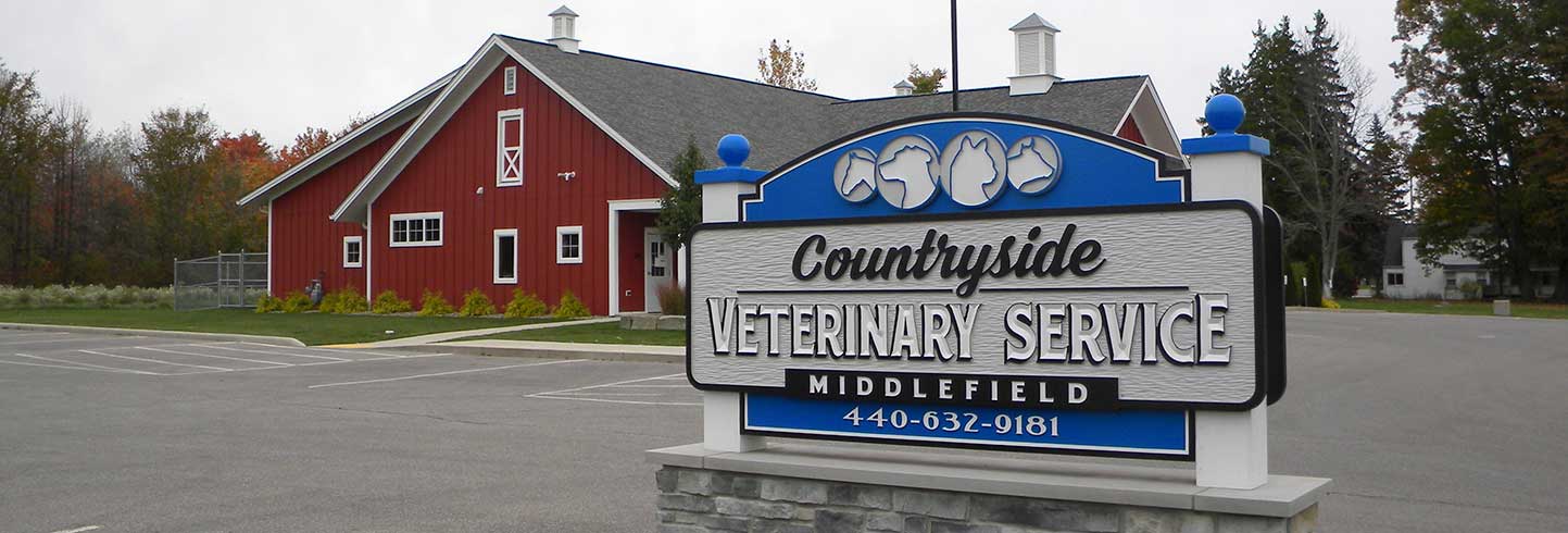 Middlefield veterinarians - dogs, cats, pocket pets, exotic, avian